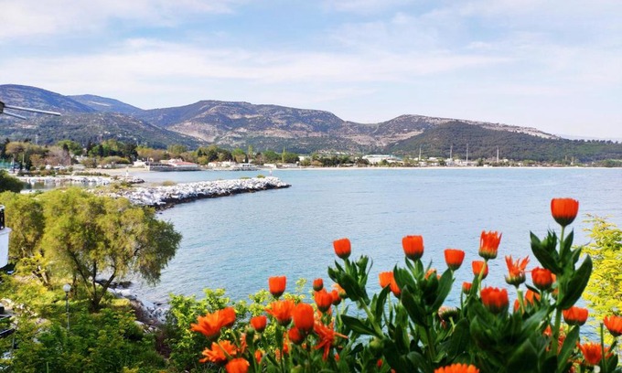 Kavala House | Oceanfront Retreat: Sailor's Delight with 9.7/10 Rating
