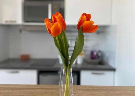Saint-Maur Creteil Apartment | Family-Friendly Saint-Maur Créteil Near Paris & Disney