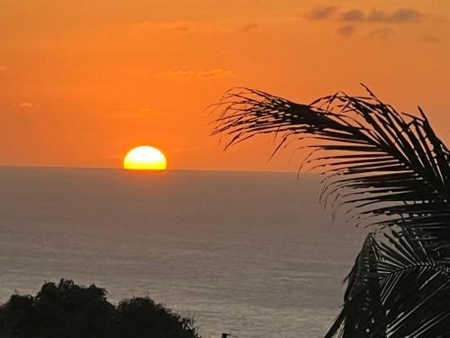 San Roque Apartment | Scenic Saipan Emerald Villa with Oceanfront Views