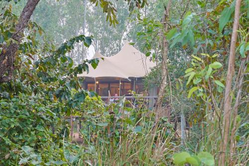 Baihar Hotel | Discover Saja and Sal: The Chief's Tent with Hot Tub