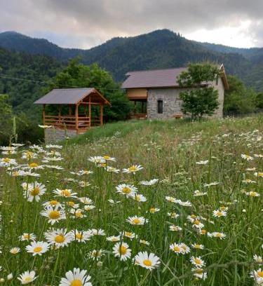 Likani Villa | Sakartvelo Soul