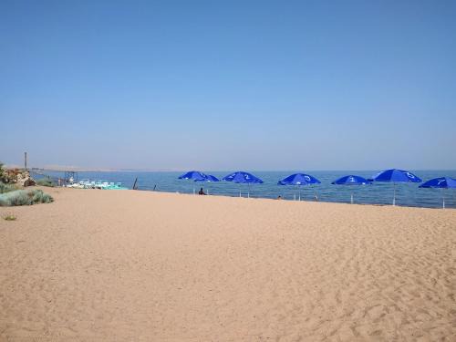 Issyk-Kul Region Resort | Cozy Salima Resort with Oceanfront Views and Pet-Friendly Stay