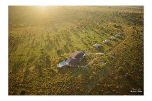 Serengeti National Park Resort | Experience the Magic of Salinero Serengeti Resort