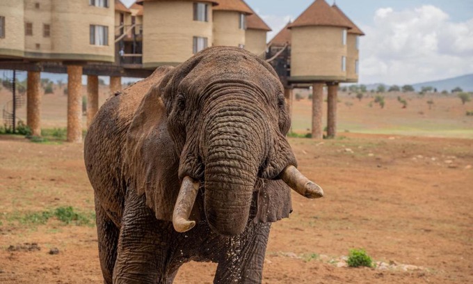 Murka Cabin | Experience Salt Lick Safari Lodge: 5-Star Stay Awaits!