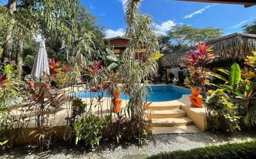 Samara Hotel | Guest Rated 10/10: Samara Palm Lodge with Ocean View Pool