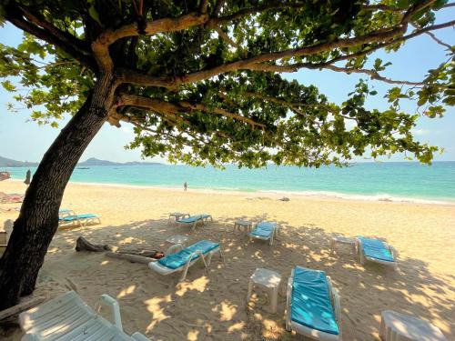 Lamai City Center Resort | Relax at Samui Sense Beach Resort with Oceanfront Views