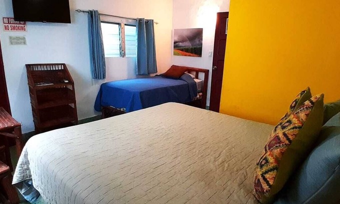 El Palmar Hotel | Inviting San Carlos Beach sol Playa: Pet-Friendly Retreat