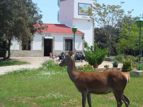 Marmolejo House | Explore San José: Pet-Friendly Hotel with Hot Tub & Pool