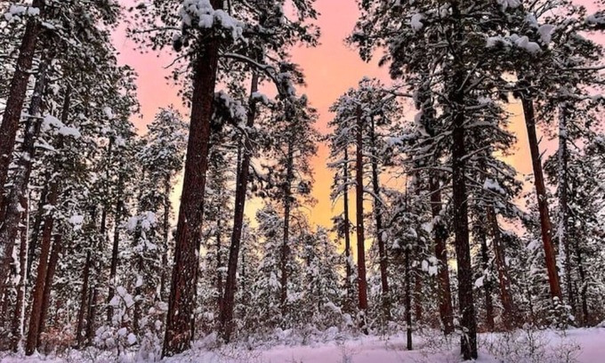 Pagosa Highlands House | Experience the Bliss of San Juan Grand Retreat
