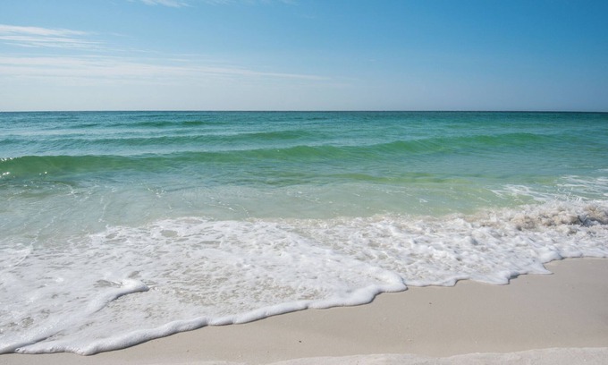 Villa Sabine Condo | 🌴🐚🌴 Sand Dollar W-101: Ground Floor 1 BR | Walk to Beach + Bay