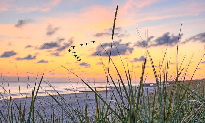 Juliusruh Apartment | Oceanfront Sandpiper Hotel with Family-Friendly Amenities