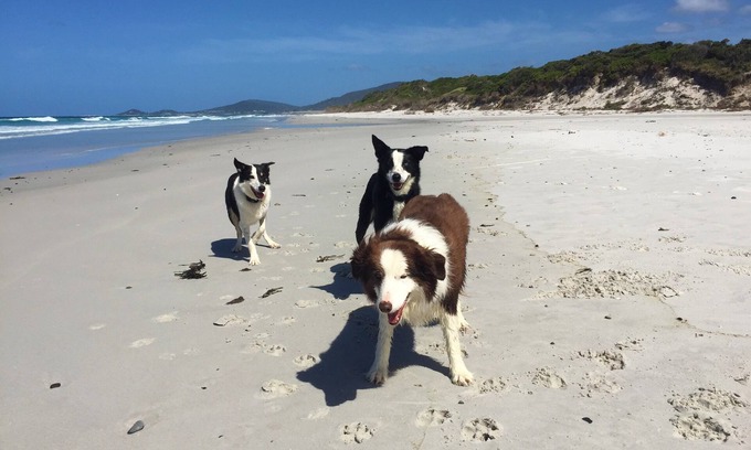 Douglas River Cottage | Unwind at Sandpiper Ocean Cottages with Scenic Ocean Views