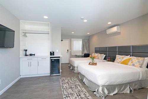 La Jolla Hotel | Discover Sands Of La Jolla: Oceanfront Family Getaway