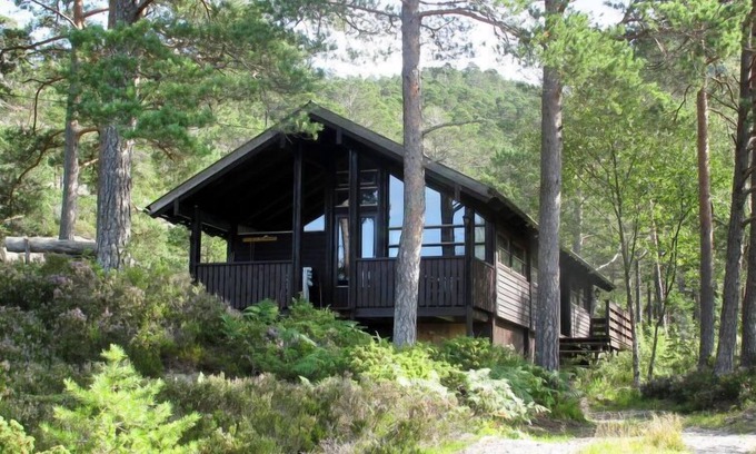 Flora House | Oceanfront Escape: Sandvikfjellet by Interhome Awaits
