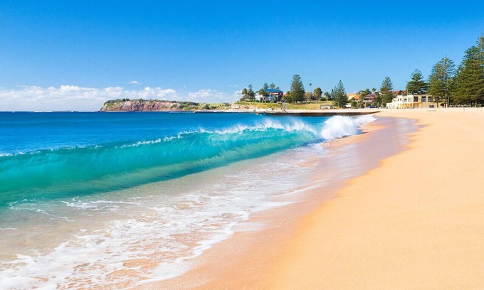 Narrabeen Apartment | Beachside Retreat with Pool and Ocean Views Await You