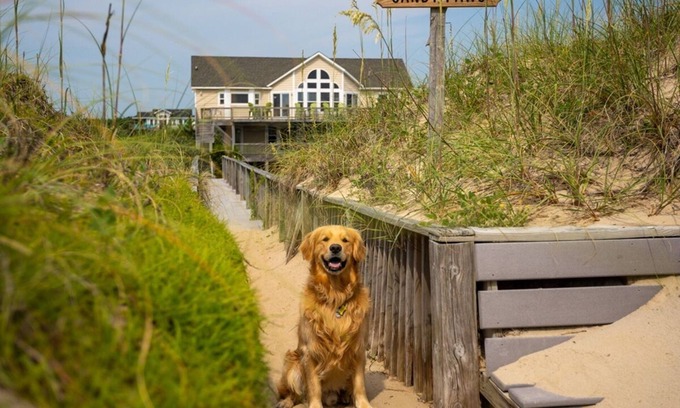 Carova Beach House | Discover Sandy Paws: Oceanfront Retreat with Game Room & Pool
