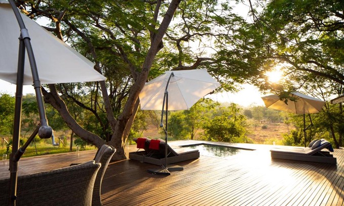 Maruleng Cabin | Experience Sangasava Safari Lodge: Guest Rated 9.8/10