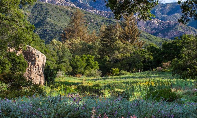 Mission Canyon Villa | Experience Tranquility at Santa Barbara Botanical Cabin