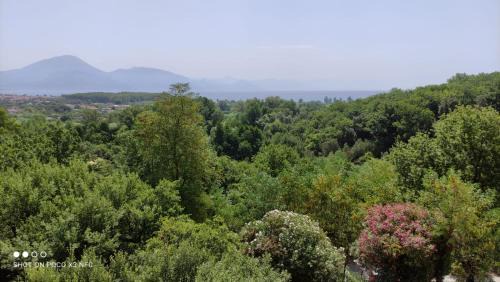 Santa Marina Apartment | Discover Family-Friendly Comfort at Santa Lucia Hotel