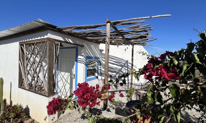 Valle de Guadalupe Hotel | Experience Santerra in Guadalupe Valley: Spa & Family Fun