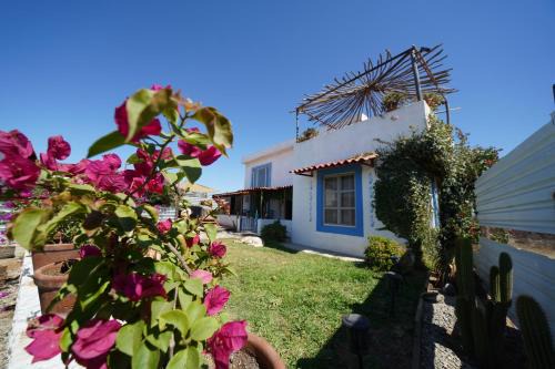 Valle de Guadalupe Hotel | Pet-Friendly Santerra in Valle de Guadalupe - Rated 9/10