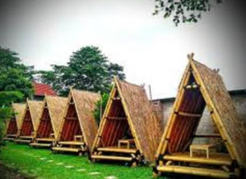 Ciloto Other | Discover Pet-Friendly Comfort at Santino Camp