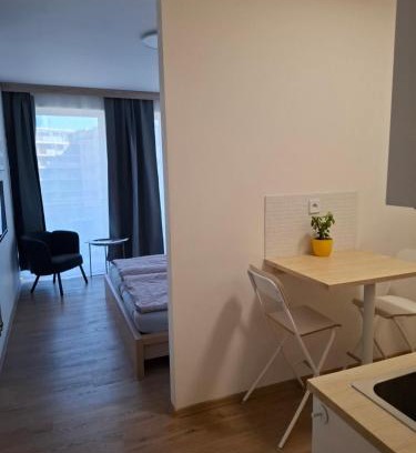 Olomouc Apartment | Family-Friendly Santova Apartment Olomouc - Rated 9.1/10