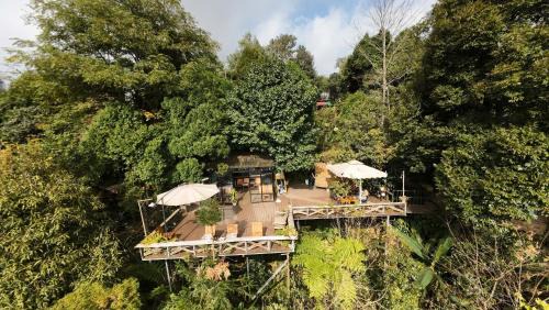 Sa Pa House | Enjoy Nature at Sapa Jungle Homestay with Oceanfront Views
