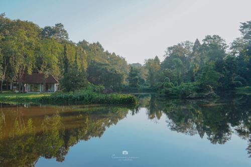 Kaeng Sopha Resort | Discover Sappraiwan Elephant Resort & Sanctuary Experience