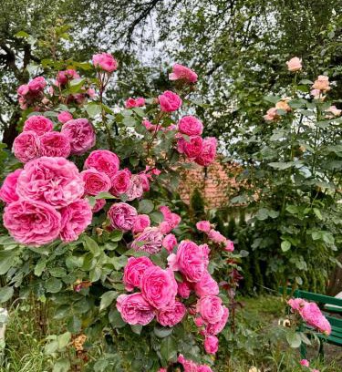 Sarajevo House | Discover Sarajevo Flower Garden: Family-Friendly Retreat