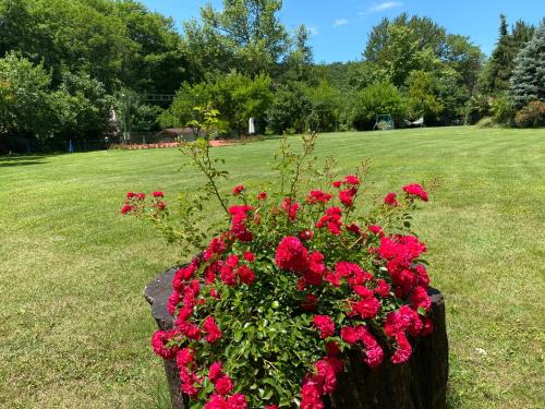 Kabakoz Mahallesi House | Welcome to Sarikonaklar Garden Village - Pet-Friendly Retreat