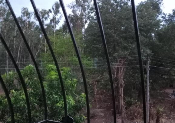 Bolpur House | Discover Sarthak Home Stay: Ideal for Families & Budget Travelers