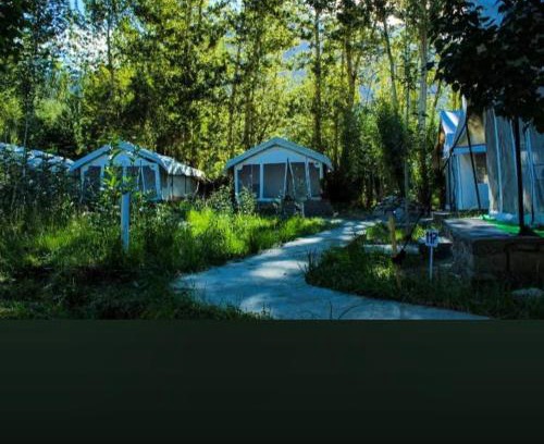 Nubra Valley Other | Discover Saser Camp: Family and Pet-Friendly Retreat