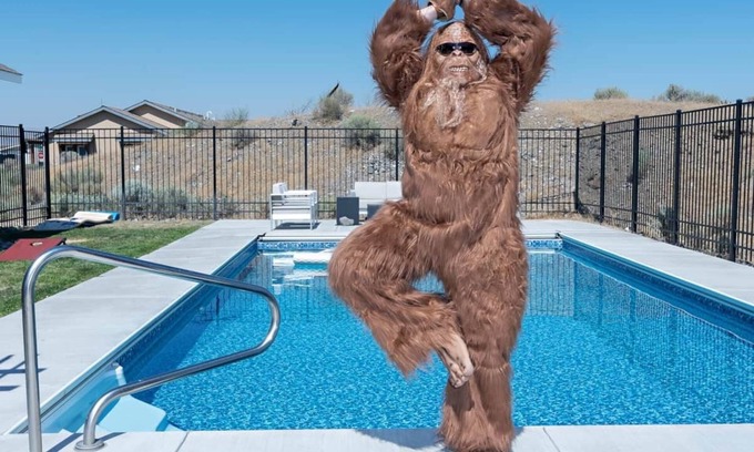 Desert Aire House | Relaxing Sasquatch Oasis with Pool and Ocean View