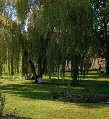 Betpouy Apartment | Experience Comfort at SAULE ET RIVIERE - Guest Rated 10/10