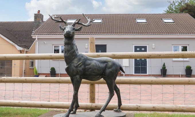 Dawlish Cottage | Pet-Friendly SAWTONS COTTAGE: Oceanfront Getaway in Dawlish