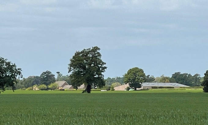 Ipswich House | Peaceful Scandi Retreat in Beautiful Suffolk Countryside