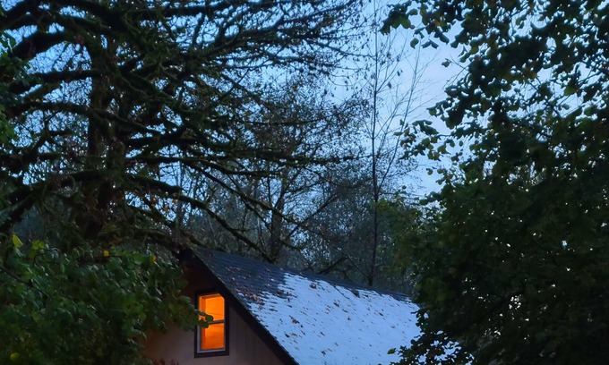 Alsea Cabin | Scenic cabin with a creek view