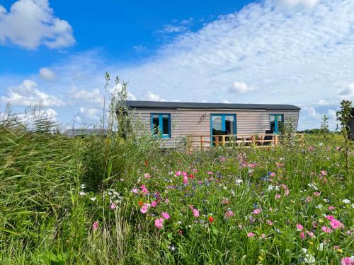 Pellworm Other | Experience Schäferwagen Tiny House with Oceanfront Views