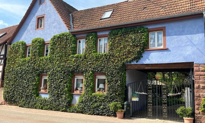 Silz Bed & Breakfast | Beautiful Schönbachhof: Oceanfront Retreat with Top Ratings