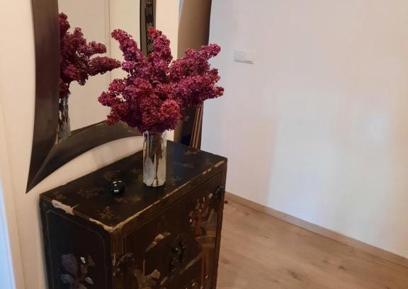 Graz City Centre Apartment | Comfortable Apartment in Graz's Historic City Center