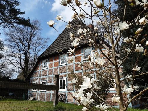Asendorf Apartment | Cozy Apartment Near Hamburg with Child-Friendly Amenities