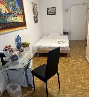 Basel Bed & Breakfast | Cozy Room in Basel City with Pet-Friendly Amenities
