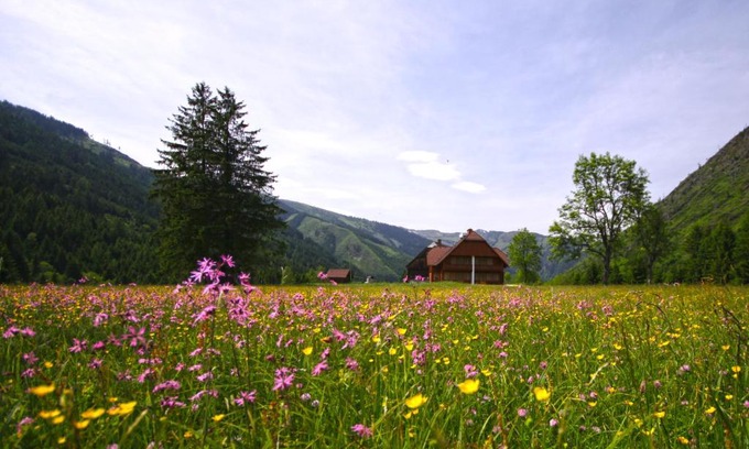 Donnersbachwald Apartment | Oceanfront Schaffergut Appartements: Rated 9.5 by Guests