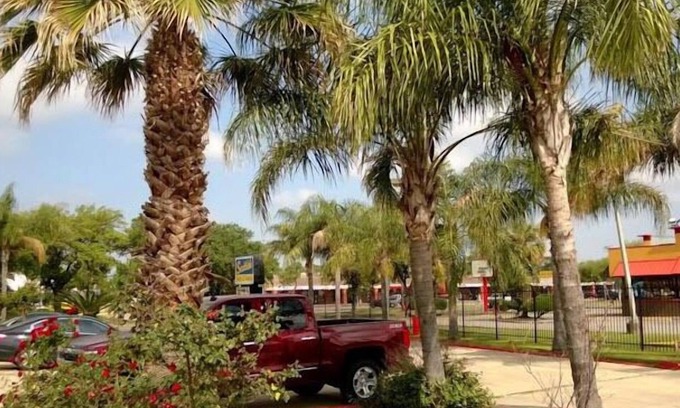 Southeast Houston Hotel | Convenient Stay at Scottish Inn & Suites - Hobby Airport