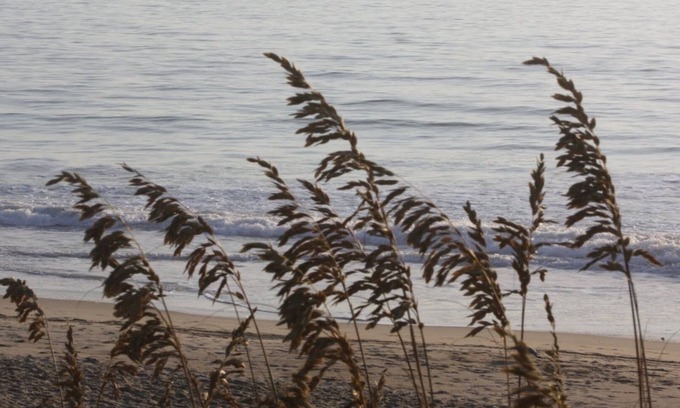 Southern Shores Cottage | Beachfront Bliss at Sea Breezes North – Guest Rated 9.4!