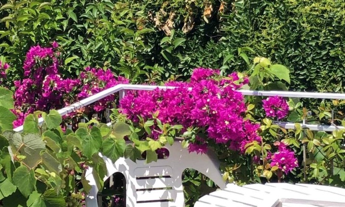 Gizzeria Lido House | Sea, garden, kite school and relaxation. You can choose everything from you. C4