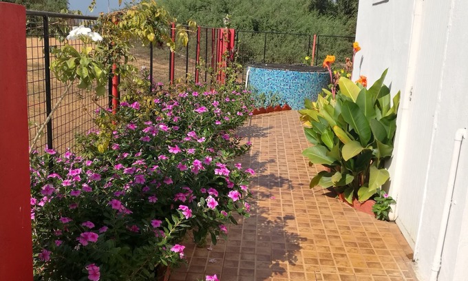 Candolim House | Cozy Sea Pearl Guest House with Kitchen & Breakfast Options