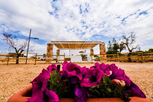 Punta Prosciutto Apartment | Pet Friendly Sea Salento Casa Vacanze with Great Amenities