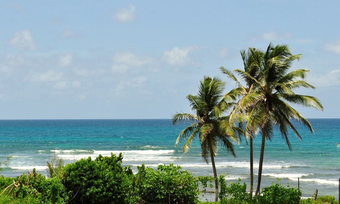 Anse des Rochers Apartment | Oceanfront Sea View Studio at Anse des Rochers, Guadeloupe